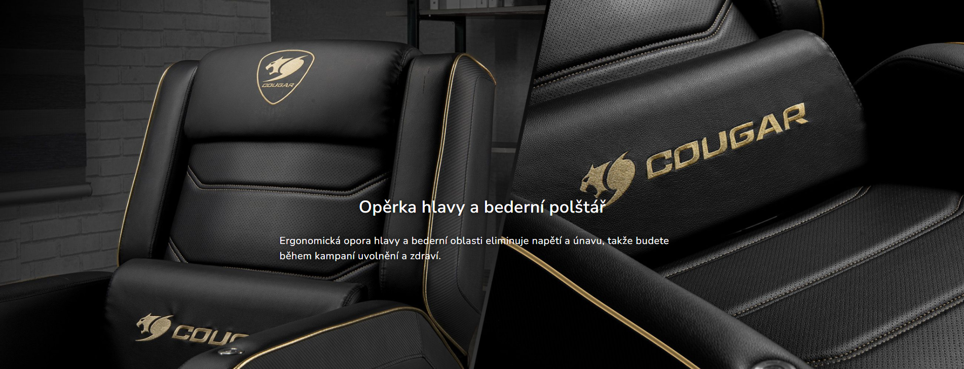 Snímek obrazovky 2026-03-10 143929